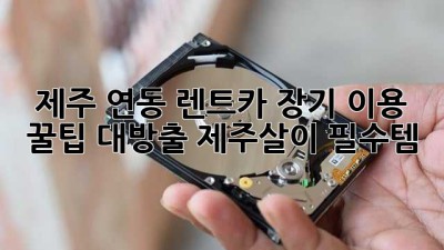 제주 연동 렌트카🚗 장기 이용 꿀팁 대방출! #제주살이 #필수템