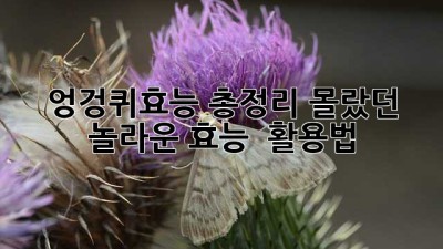 🌿 엉겅퀴효능 총정리: 몰랐던 놀라운 효능 & 활용법! 😲